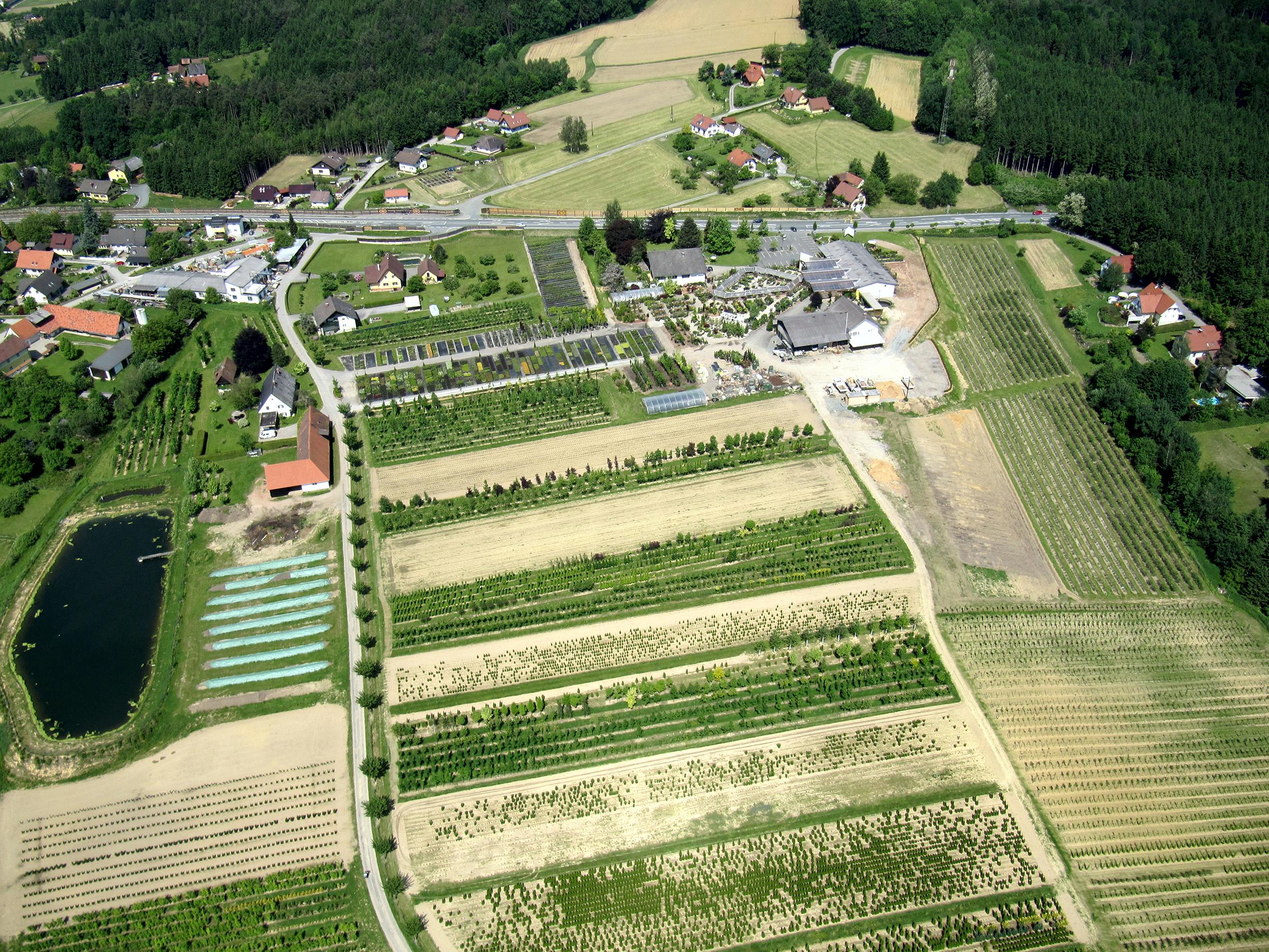Baumschule Grinschgl