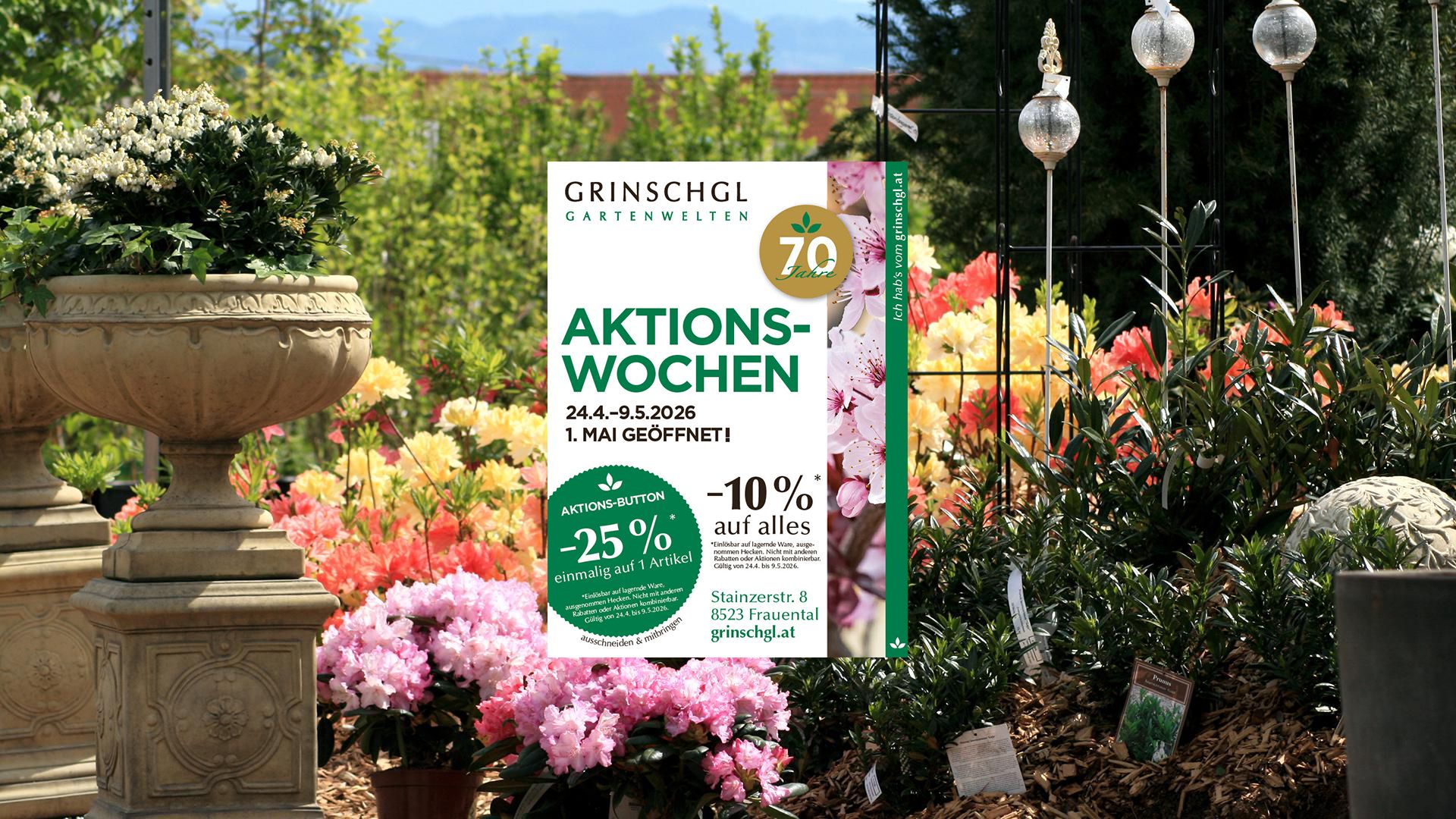 Pflanzenaufnahmen aus unserer Gärtnerei