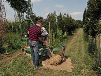 Spaziergang durch unsere Baumschulkulturen