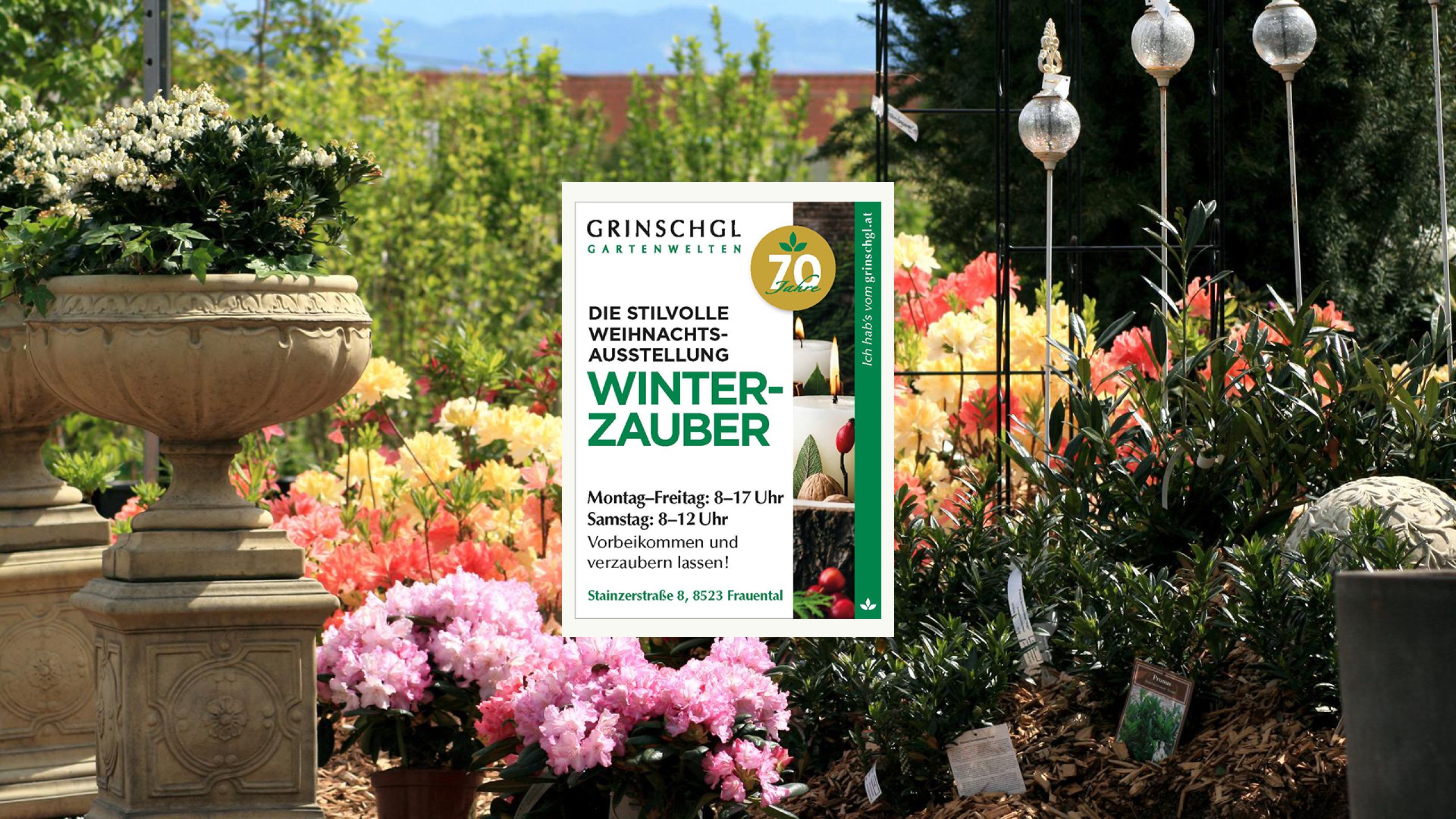 Pflanzenaufnahmen aus unserer Gärtnerei